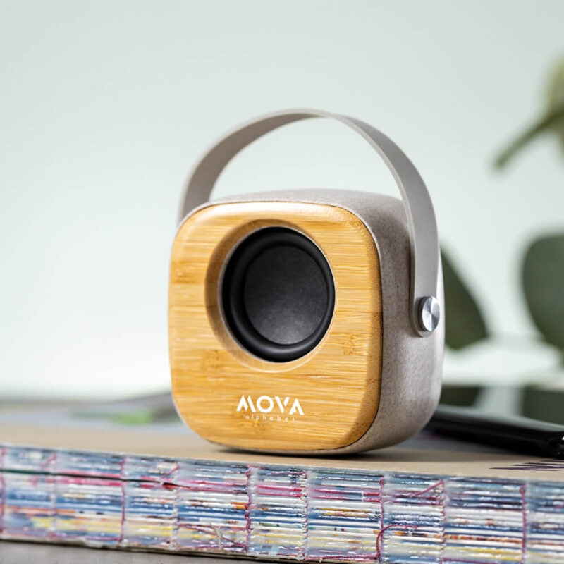 8013 bluetooth speaker