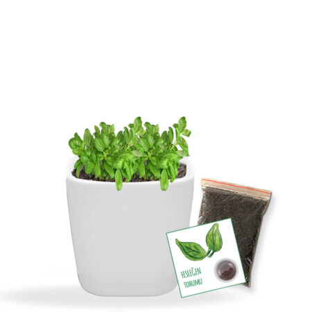 2518 - Hobby Dikim Kiti