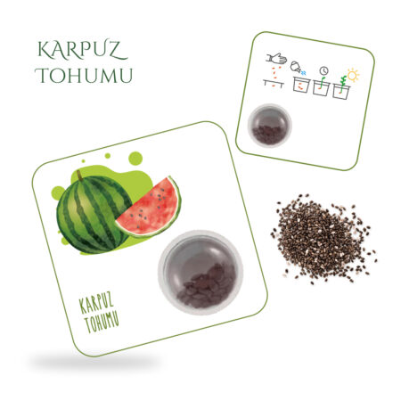 4820 - Karpuz Tohum Kartı